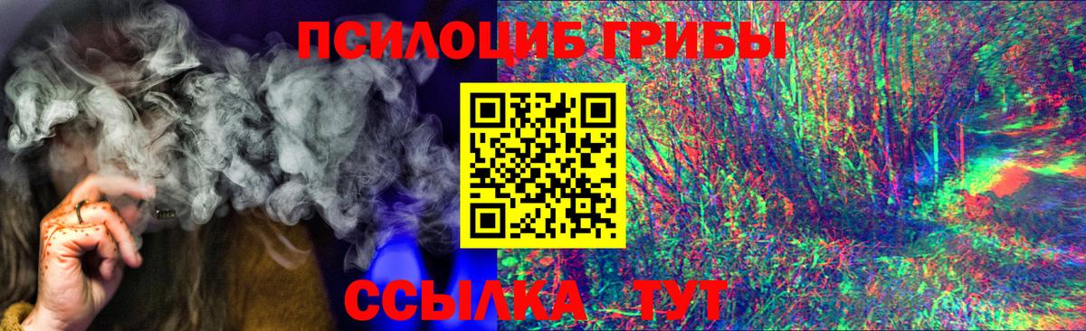 купить  цена  Псилоцибиновые грибы Cubensis  Вход с VPN  Псилоцибиновые грибы Psilocybine cubensis  Горно-Алтайск 